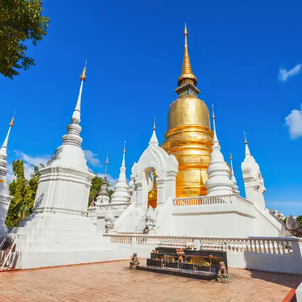 Wat Suan Dok — белые ступы и золотая чеди