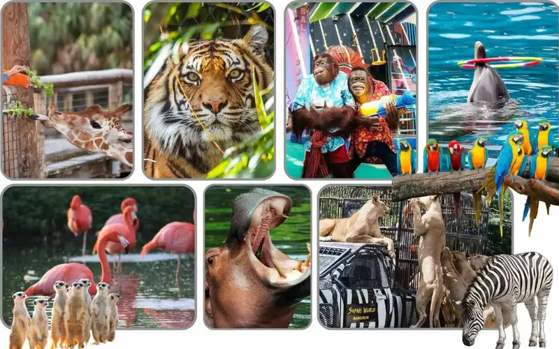 Safari World в Бангкоке — семейная экскурсия из Паттайи
